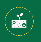 Economical and Efficient Icon