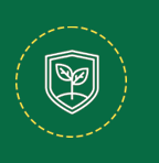 Economical and Efficient Icon