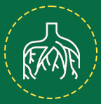 Economical and Efficient Icon